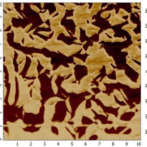 PMN-PT single crystal test sample for PFM