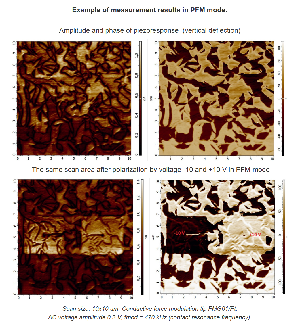 PMN-PT single crystal test sample for PFM - Image 3
